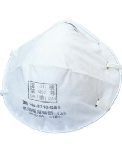 Disposable Dust Mask 8710