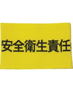 Stretch Arm Band