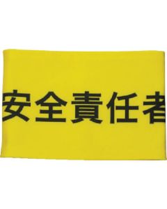 Stretch Arm Band