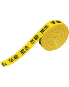 Magic Band
