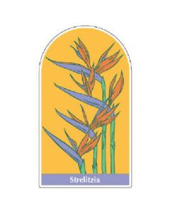 จอยซีล Strelitzia PVC sticker 700 x 400