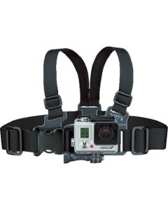 Junior Chesty (Chest Harness) 1อัน