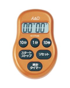 Digital Timer