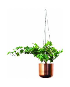 In Green artificial plant ivy hanging type  อันละ 1 อัน