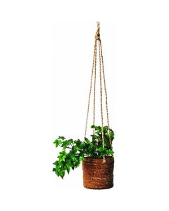 In Green artificial plant ivy hanging type  อันละ 1 อัน