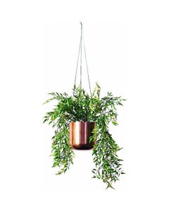 In Green artificial plant Smilax hanging type  อันละ 1 อัน