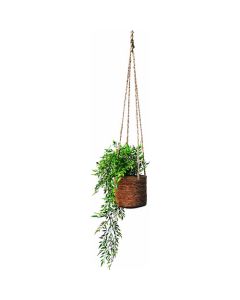 In Green artificial plant Smilax hanging type  อันละ 1 อัน