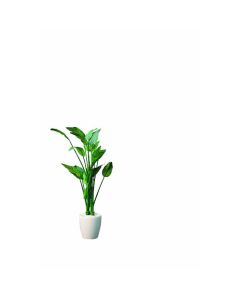 In Green artificial plant installation type  อันละ 1 อัน