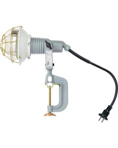 Ref-Bulb Flood Light(Waterproof)  อันละ 1 อัน