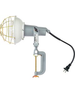 Ref-Bulb Flood Light(Waterproof)  อันละ 1 อัน