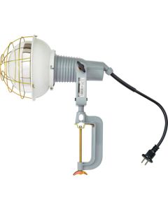 Ref-Bulb Flood Light(Waterproof)  อันละ 1 อัน