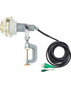 Ref-Bulb Flood Light(Waterproof)  อันละ 1 อัน