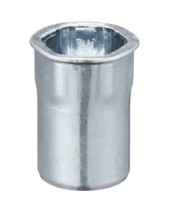 Blind Nut AFH-415-SF-HEX กล่องละ 1.000อัน
