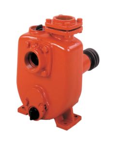AG Pump 1อัน