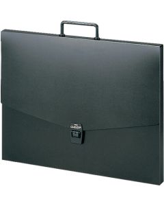 Altered Case 1อัน