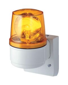 ASL-100 (Y) 1อัน