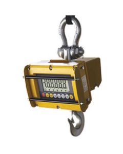 Crane Scale ATHW Series 1อัน