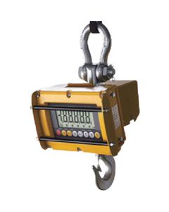 Crane Scale ATHW Series 1อัน