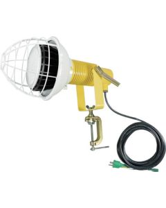 โคมฟลัดไลท์ LED นิรภัย Eco-Bic 100W เดย์ไลท์ สีขาว พร้อมคีมจับมุมฉายแสง ชนิดลวด (สาย 2PNCT ยาว 5 ม.)