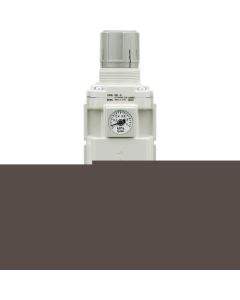Filter Regulator with Backflow Function