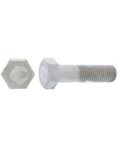316L Hexagon bolt(Half thread(Taiwan 22X130(Half thread  กล่องละ 10 เส้น
