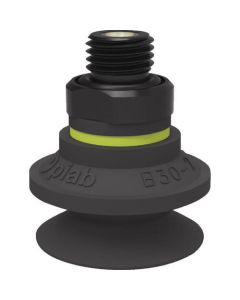 Suction cup 1อัน