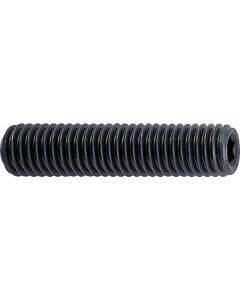 Hexagon Socket Head Set Screw (steel)