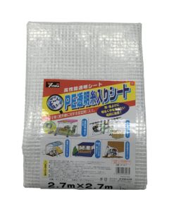 PE Transparent Threaded Sheet