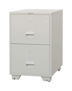 Fireproof Filing Cabinet อันละ 1 อัน