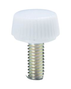 Decoration Screw (steel)