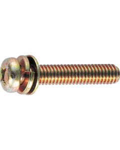 Pan Head Screw with Captive Washer (steel, with small round washer)