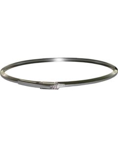 Stainless Steel Lock-lever (Squeeze Ring) for CTL Series Containers 1อัน