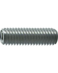 Stainless Steel Hexagon Socket Set Screw
