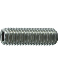 Stainless Steel Hexagon Socket Set Screw