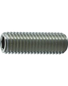 Stainless Steel Hexagon Socket Set Screw