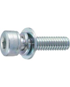 Hexagon Socket Screw with Captive Washer (steel)