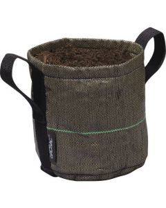 POT CLASSIC 1อัน