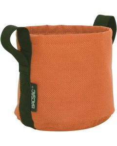 POT COLOR 1อัน