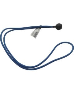 Bungee Cord
