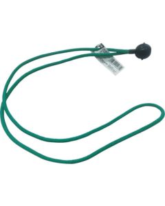 Bungee Cord