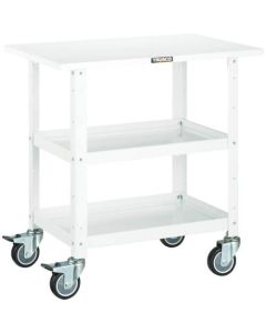 Birdy wagon 750x500 ใส่ล้อยูรีเทนท็อปเพลทสี YG