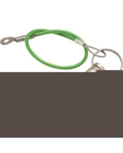 Detent pins