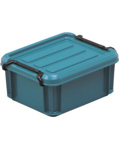 Buckle Container
