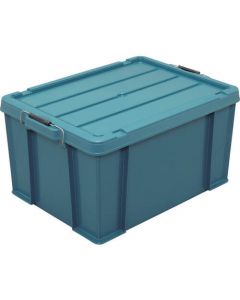 Buckle Container