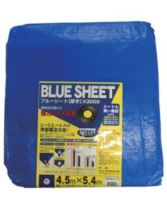 Blue Sheet #3000