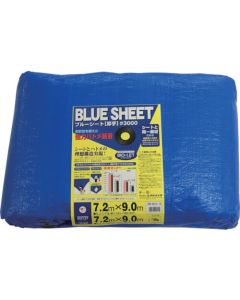 Blue Sheet #3000