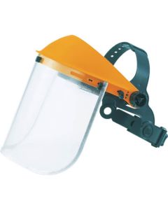 Face Shield