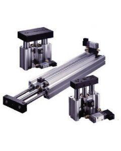 Twin Guide Cylinder 1เส้น