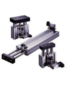 Twin Guide Cylinder 1เส้น