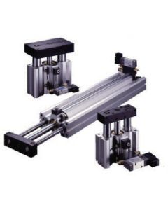 Twin Guide Cylinder 1เส้น